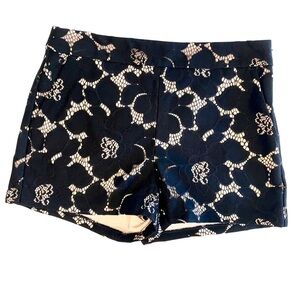 NWT — EXPRESS Elegant & Dressy Black Lace Shorts on Cream Fabric Size 4